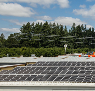 Food industry prioritizes sustainability