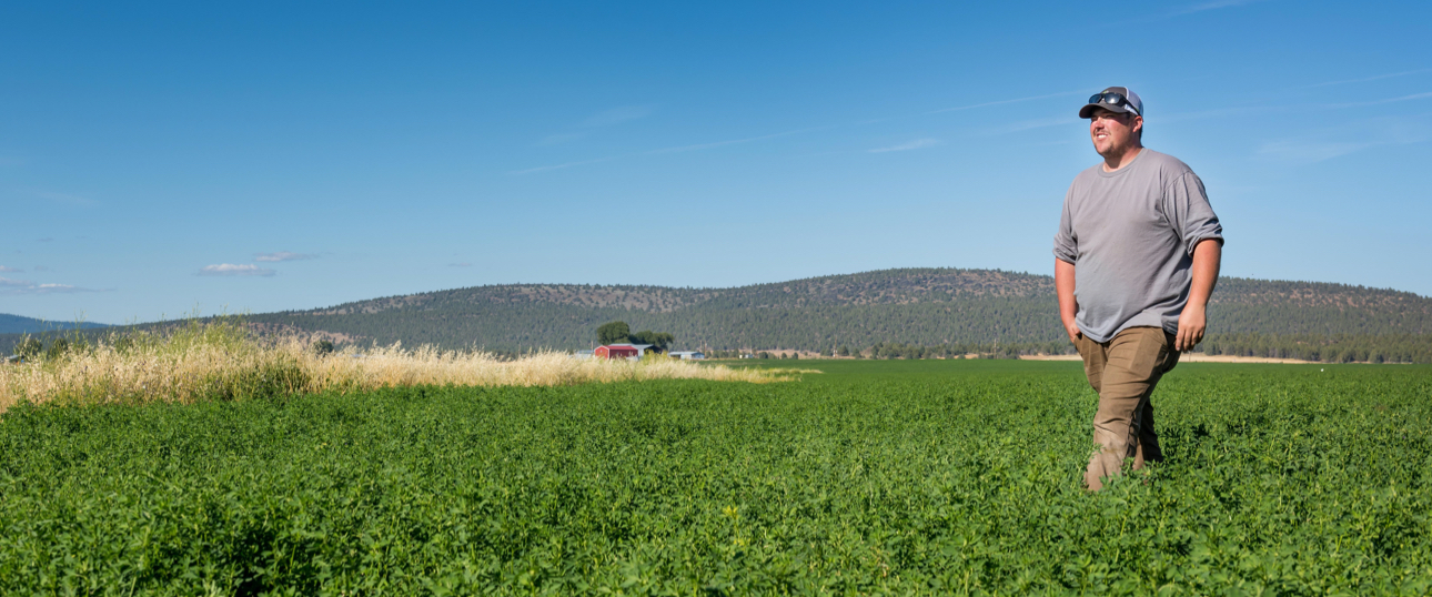 Family farm upgrades irrigation