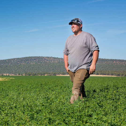 Family farm upgrades irrigation