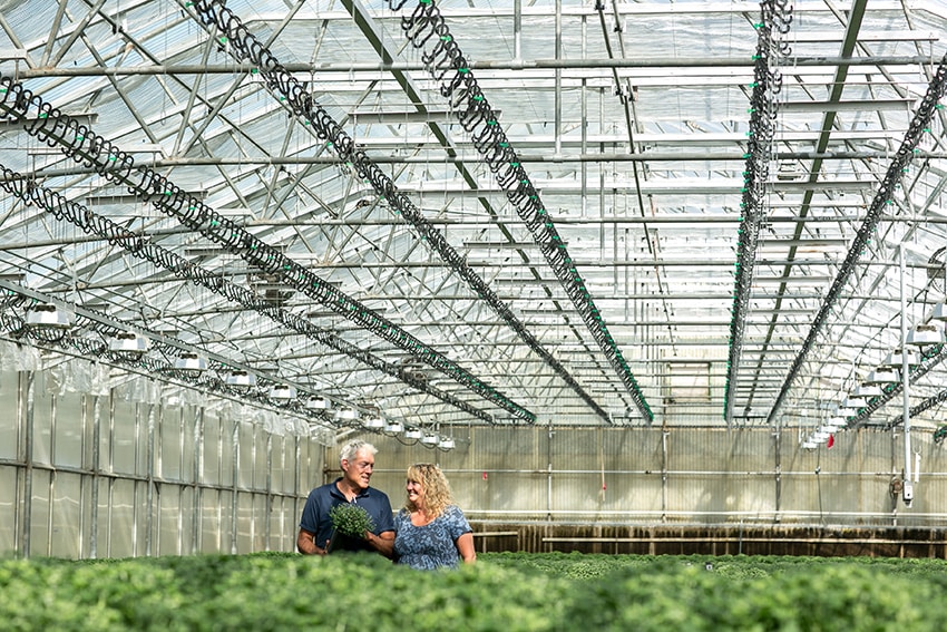 Pam’s Sunnyside Greenhouse, Cottage Grove