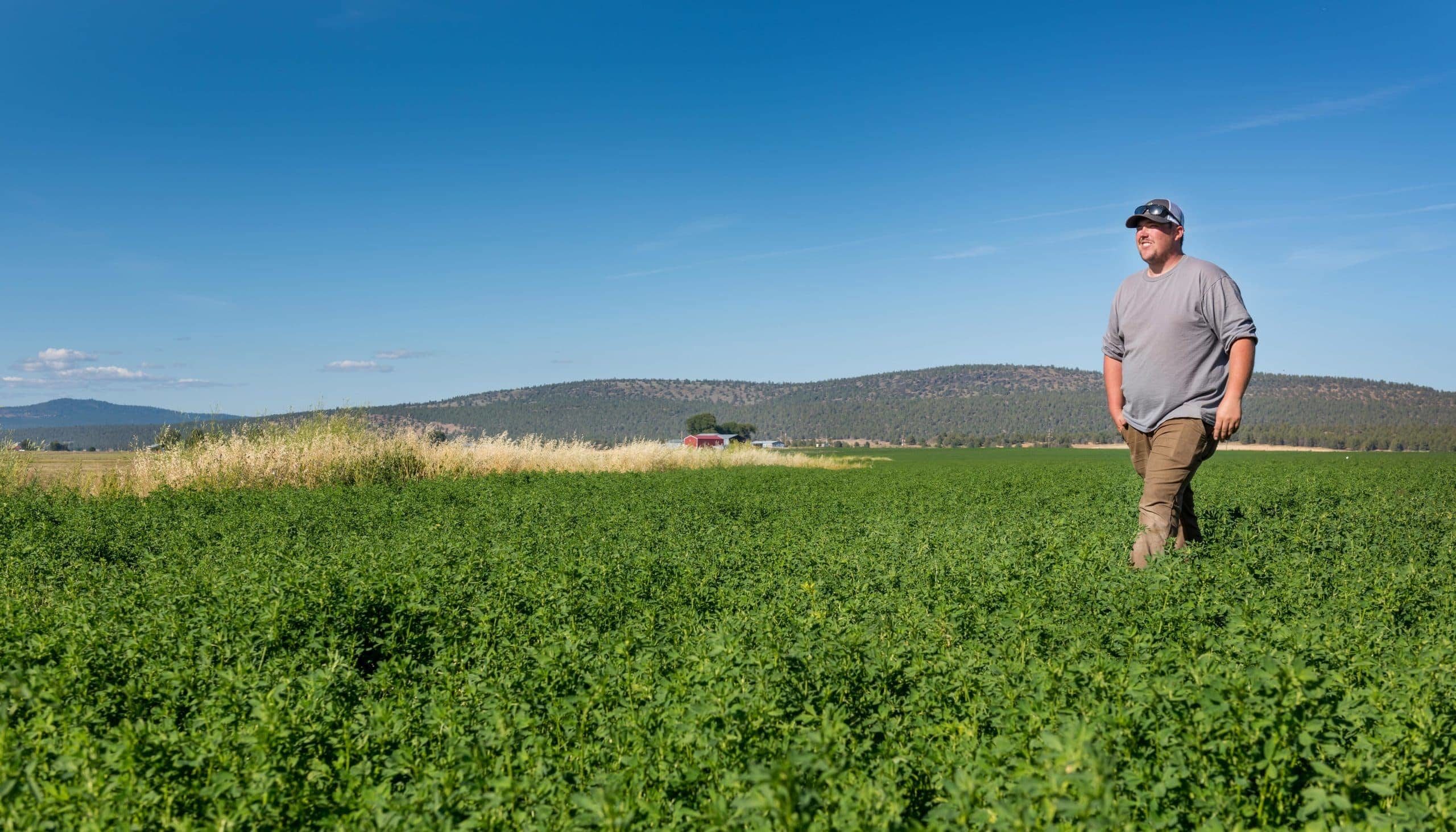 Criss Family Farms, Bonanza