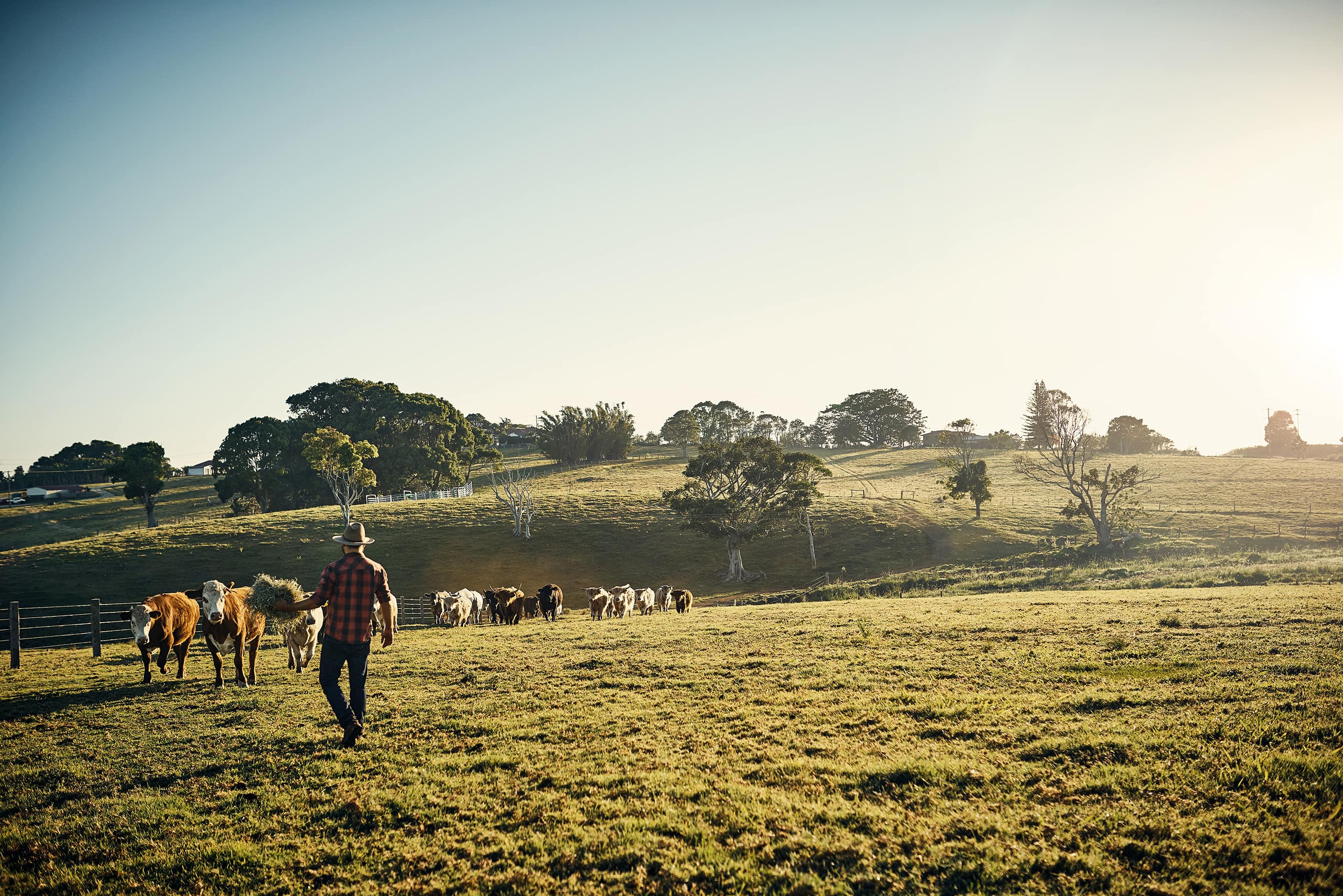 Nonprofit accelerates energy investment in rural community