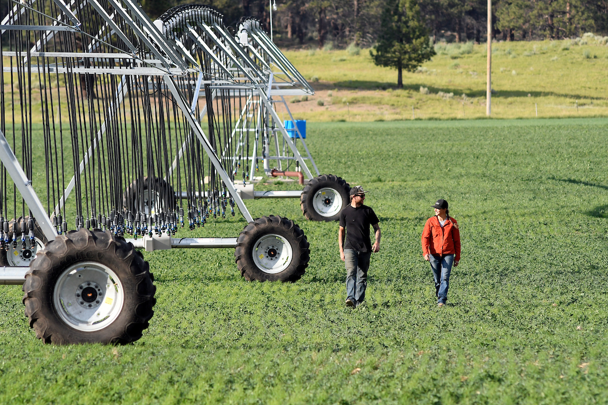 people on farm with irrigation sprinklers